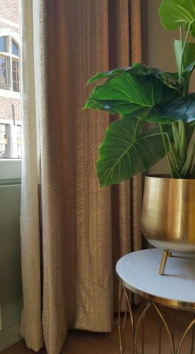 Apartamento Bnb Antwerpen - Chique