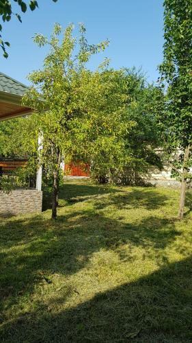 Gabala Homes Musa Villa 2