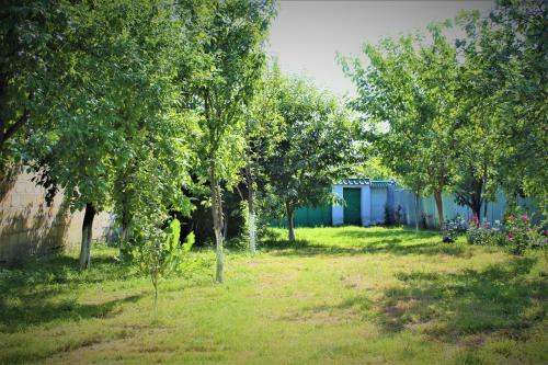 Silent Family Home