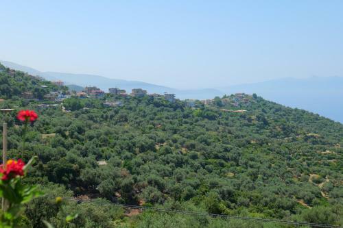 Bed & Breakfast Vila Panorama Piqeras