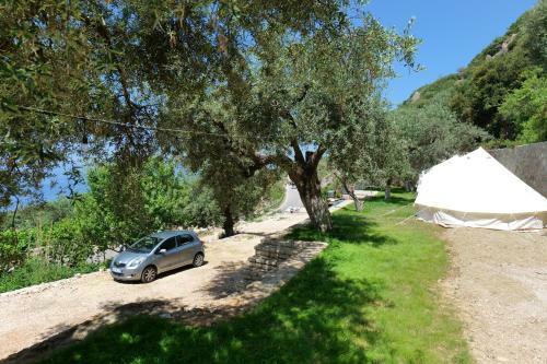 Bed & Breakfast Vila Panorama Piqeras