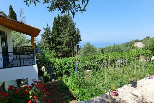 Bed & Breakfast Vila Panorama Piqeras