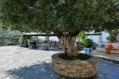 Bed & Breakfast Vila Panorama Piqeras