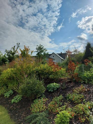 Apartamento Ferienwohnung Waldblick