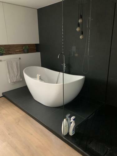 Groot Modern Huis Met Priv� Kamer