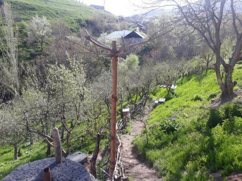 Hostal Aghveran Eco Guest House