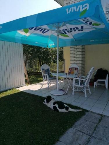 Apartamento Vacation Home Studenski / Ku?a Za Odmor Studenski