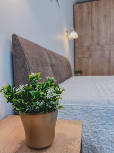 Apartamento The Central Park Burgas