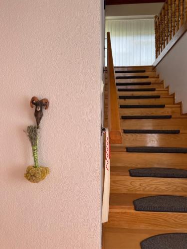 Apartment Potoci/mostar
