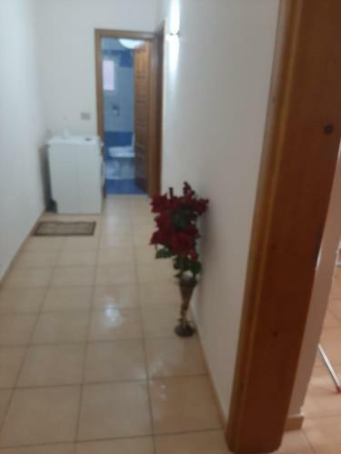 Iviol Apartment