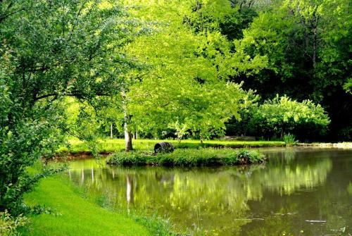 Bed & Breakfast Domaine De Varenne