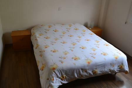 Entire 1-bedroom Apartment Centrally Located