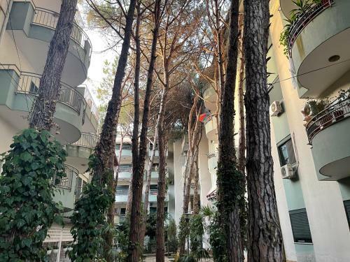 Apartament Golem Meikristian