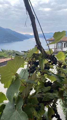 Apartamento Home With Stunning Views To Lake Maggiore