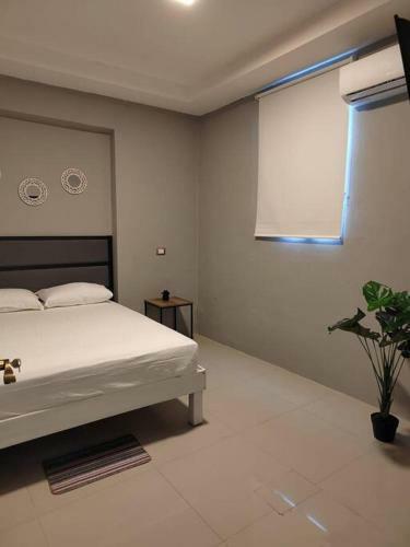 Apartamento 2 Recamaras En El Coraz�n De Cozumel