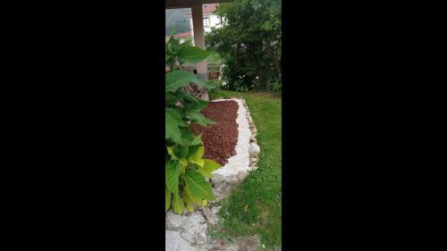 Apartamento Lantojana Del Cuera Antilles