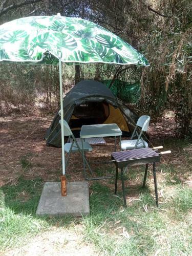 Cozy Tent In The Shade With Amenities And A Socket