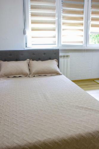 Comfy Apartment