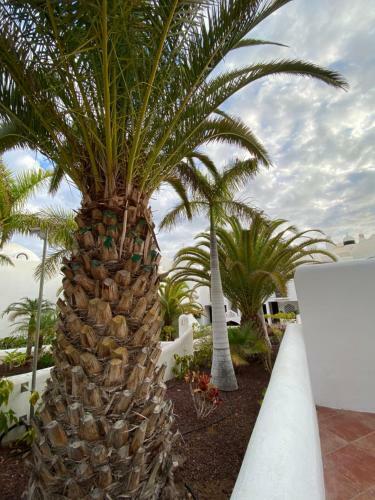 Apartamento Adeje Paradise Resort
