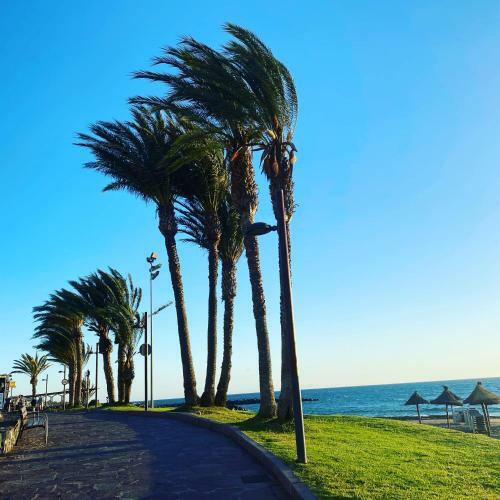 Apartamento Playa Paraiso,teneriffe 502