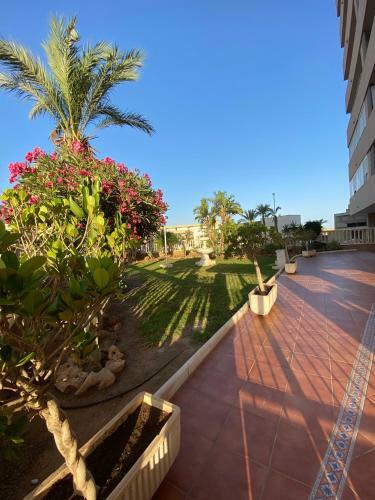 Apartamento Expoholidays-torre Violeta