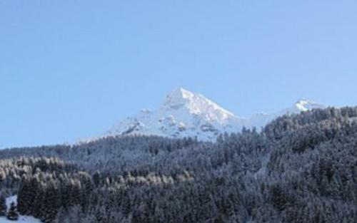 Chalet La Griotte