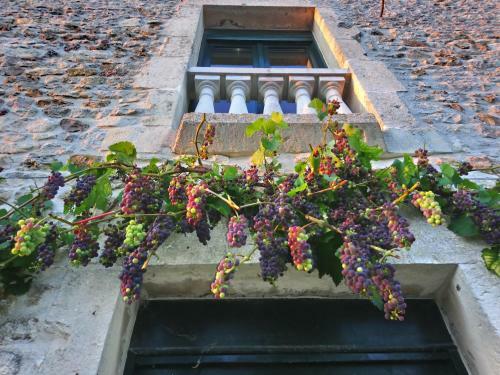 Bed & Breakfast La Mare Aux 3 Diables
