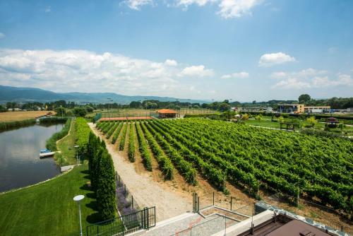 Hotel Uva Nestum Wine & Spa