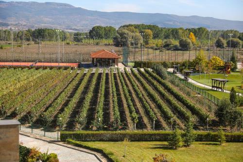 Hotel Uva Nestum Wine & Spa