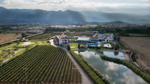 Hotel Uva Nestum Wine & Spa