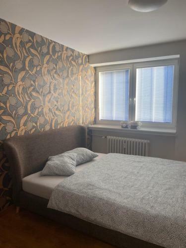 Apartm�n Se Dv?mi Lo?nicemi