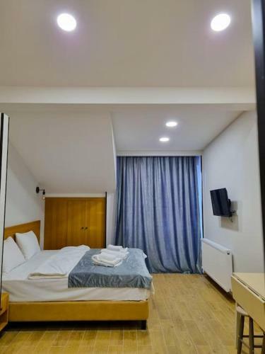 Leo Group Luxury Apartment 05-562 Bakuriani Inn