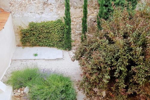 Apartamento Charming 62 M With Shared Garden Center