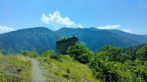 Bed & Breakfast Guest House Gogias Cixe