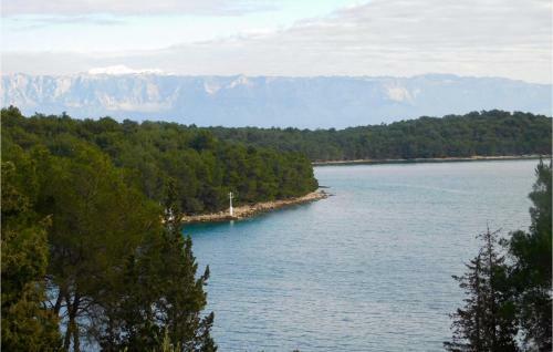 Awesome Apartment In Vrboska With 2 Bedrooms