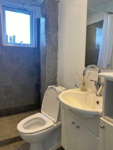 Spacious & Well Located Villa Apartement