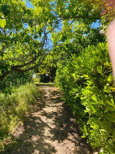 Villa Casa Rural Rosal