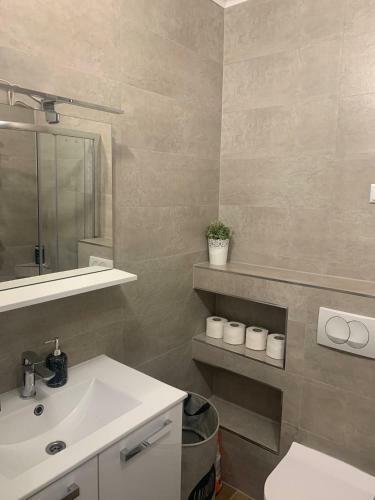Luxury Apartment Maja