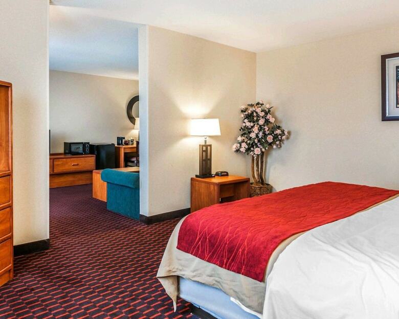 Hotel Comfort Inn Avon