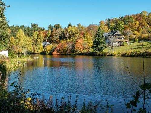 Apartment Altes Forsthaus Dachsberg