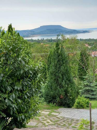 Holiday Home In Balatongy�r�k 42694