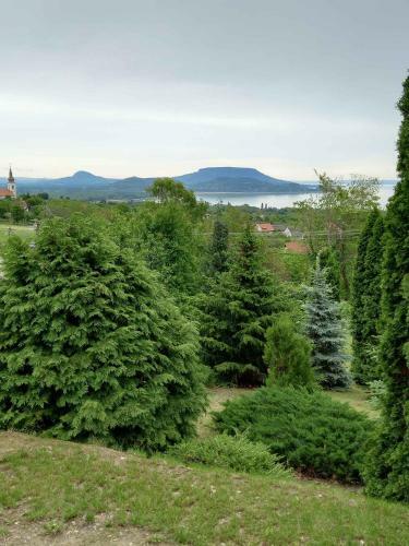 Holiday Home In Balatongy�r�k 42694