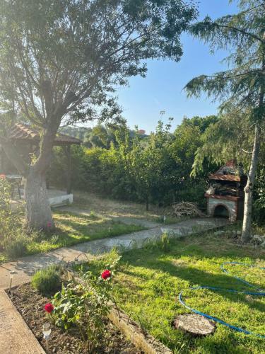 Villa Alexandros