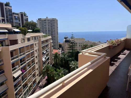 Apartamento Large Flat In The Center Of Monaco