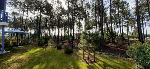 Apartamento Nice House Of 42 M With Terrace