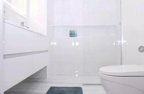 Apartamento Moldavian Decor City Center