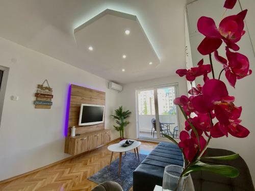 Apartamento Bigi