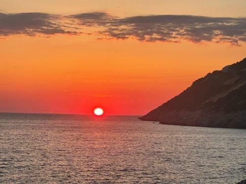 Apartmani Sunce