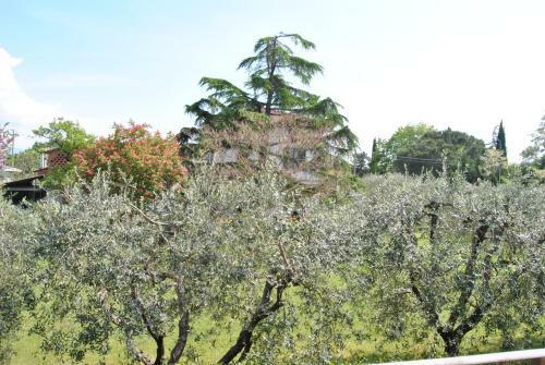Apartamento Sunflower