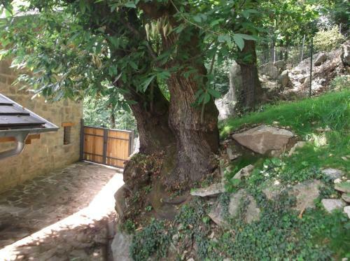 Apartamento Agriturismo Ai Ronchi